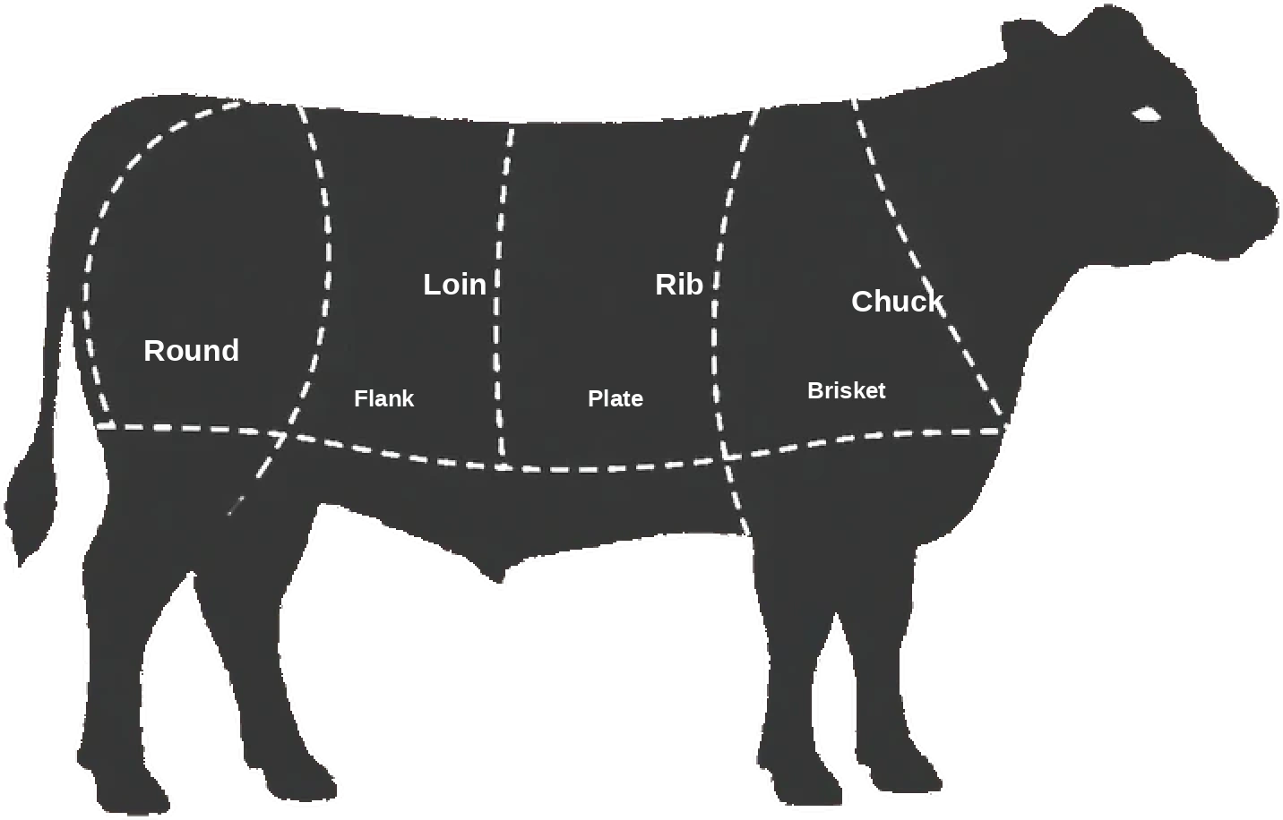 Side view of a beef cow marked with the primal cuts: chuck, rib, loin, round, brisket, plate and flank